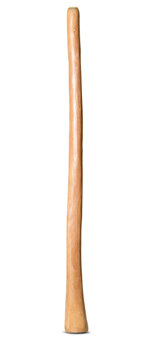 Natural Finish Bell Didgeridoo (TW1103)